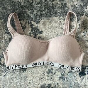 Hollister Gilly Hicks Bralette